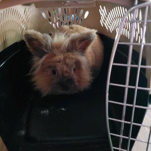 Meet your Posher, Cheri